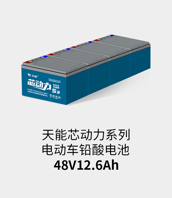 jinnianhui金年会首页电池48v12ah