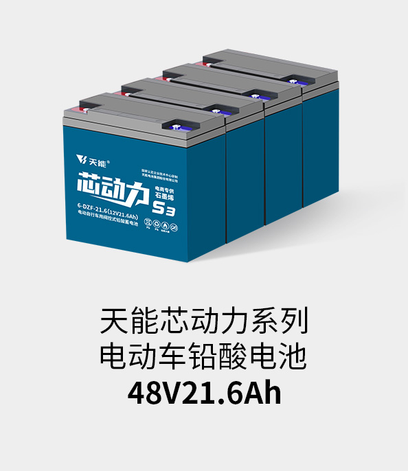 jinnianhui金年会首页电池48v20ah