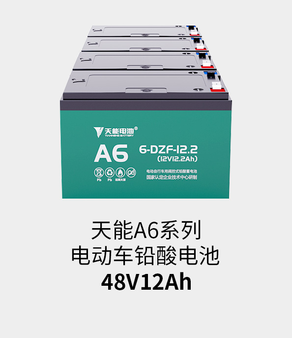 jinnianhui金年会首页电池48v12ah