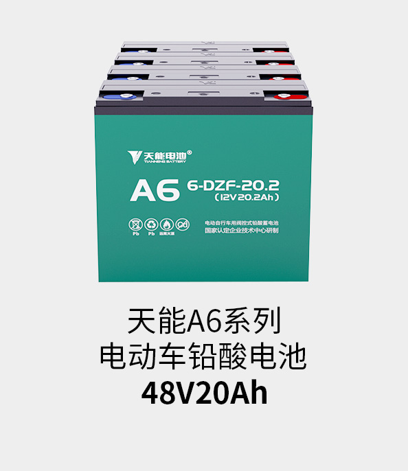 jinnianhui金年会首页电池48v20ah