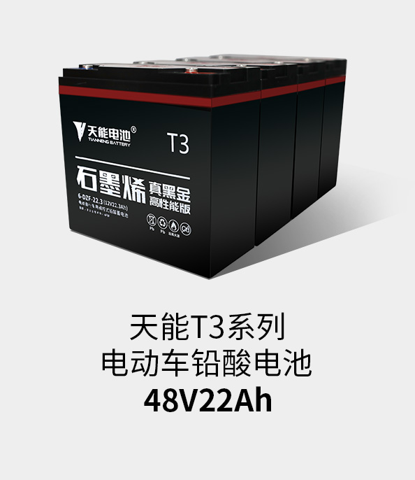 jinnianhui金年会首页T3系列48v22ah