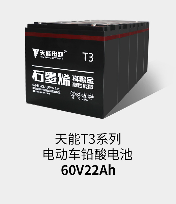 jinnianhui金年会首页T3系列60v22ah